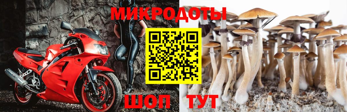 Еманжелинск  Галлюциногенные грибы Magic Shrooms  Вход с VPN  Псилоцибиновые грибы Psilocybe 